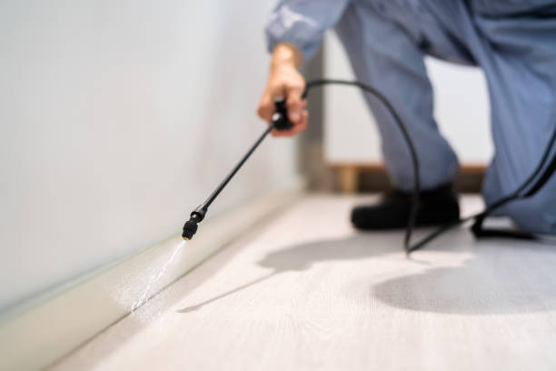 Licensed Pest Control service in Wallace, ID - Show Me Pest Control