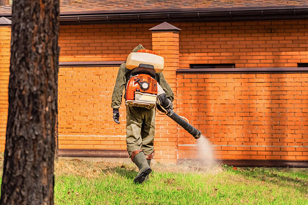 Bed Bug Clearance Verification and Documentation in Wallace